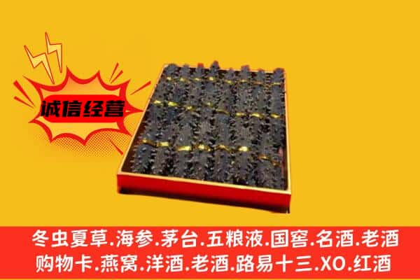 济南济阳区回收海参